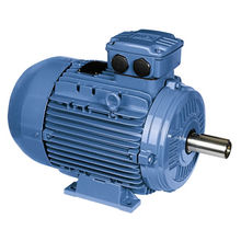 美國(guó)EIM電機(jī)
