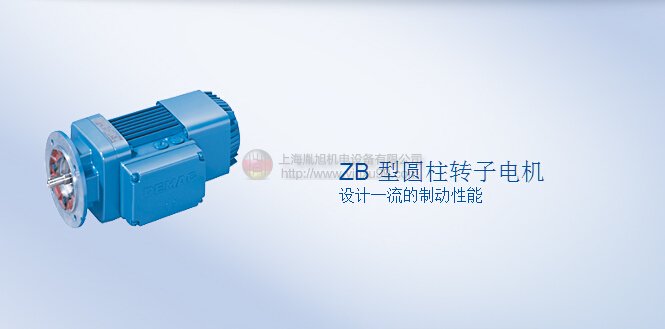 DEMAG電機 Z型圓柱轉(zhuǎn)子電機