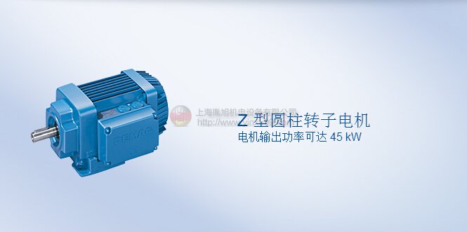 DEMAG電機 Z型圓柱轉(zhuǎn)子電機